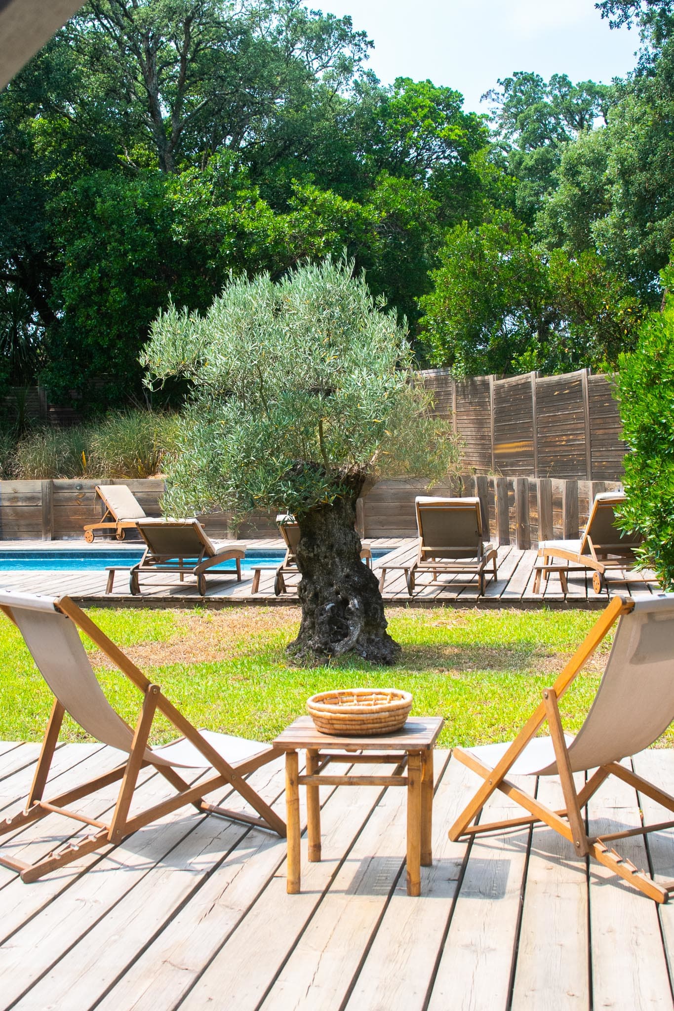 La piscine et sa terrasse